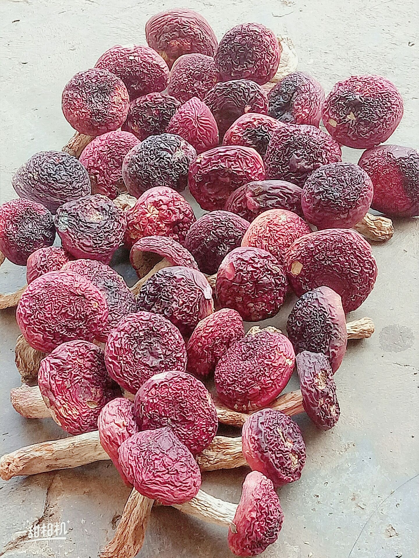 自家烘烤云南大红菇，菇丁包邮