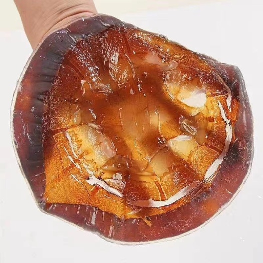 滨州渤海海蜇  海蜇皮