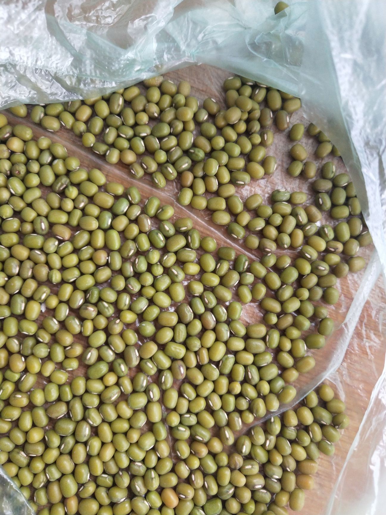 绿芽豆 纯绿色食品，欢迎大家来电，合作共赢的太度°
