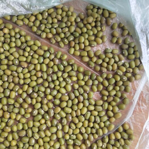 巴彦县绿芽豆 纯绿色食品，欢迎大家来电，合作共赢的太度°