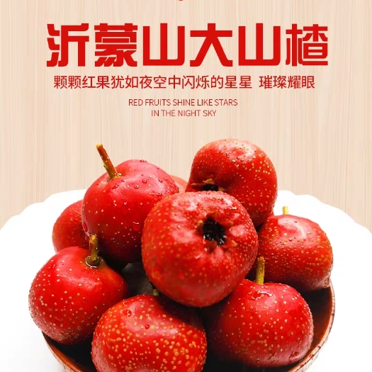 临朐县大金星山楂  山东沂蒙山区特产新鲜山楂酸甜可口包邮到家
