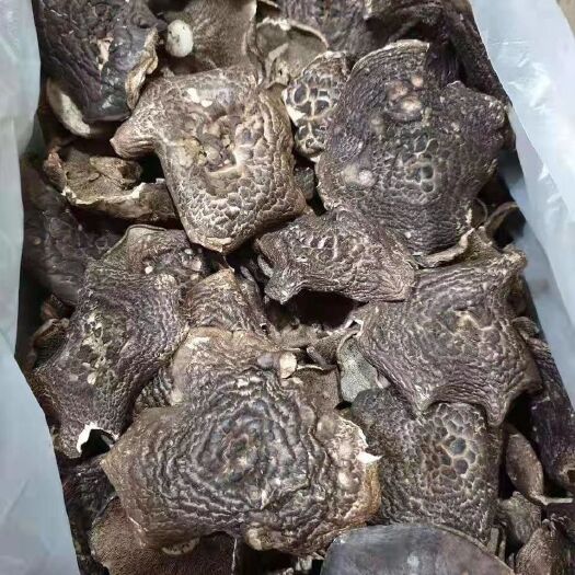 昆明 虎掌菌干货，5公分以上，已经过筛