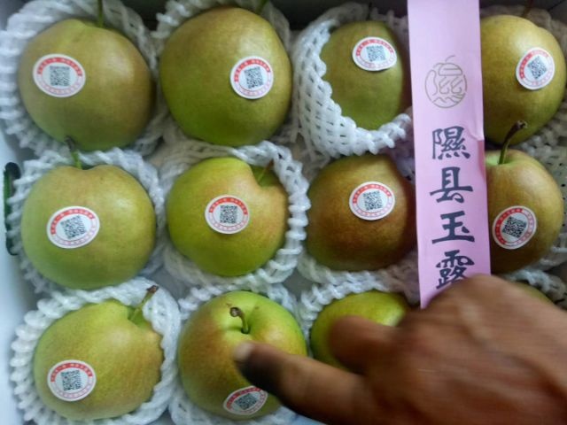 年货礼盒 玉露香梨 隰县玉露香梨 新品 玉露香梨 蜜梨 香梨