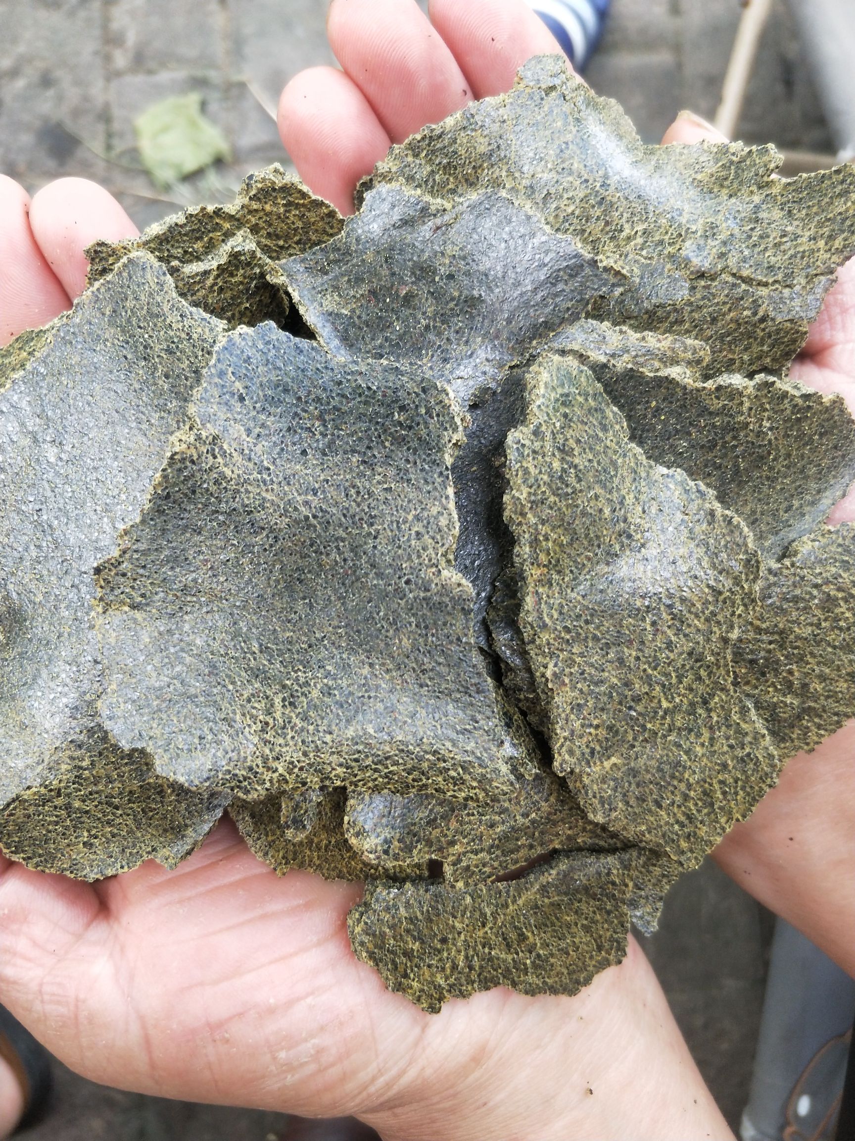 菜籽饼饲料常期出售生榨菜籽饼青饼