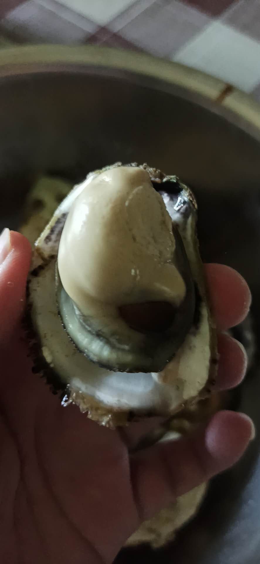 福建生蚝 上海生蚝批发，全年不断货，稳定供货，送货上门
可以作为团购用