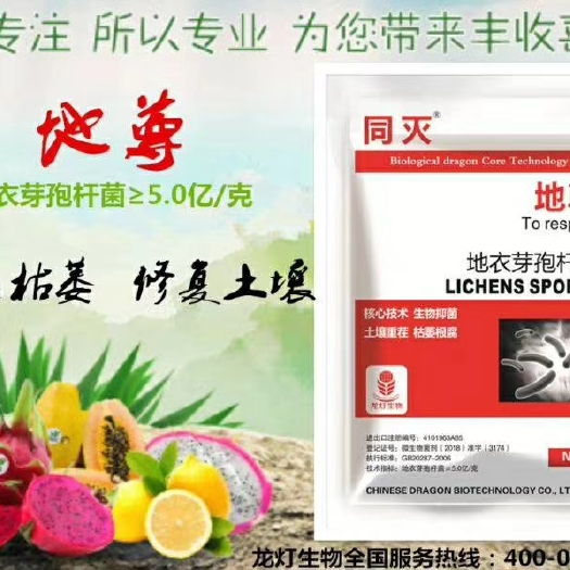郑州菌肥 地衣芽孢杆菌—土壤重茬，根腐枯萎