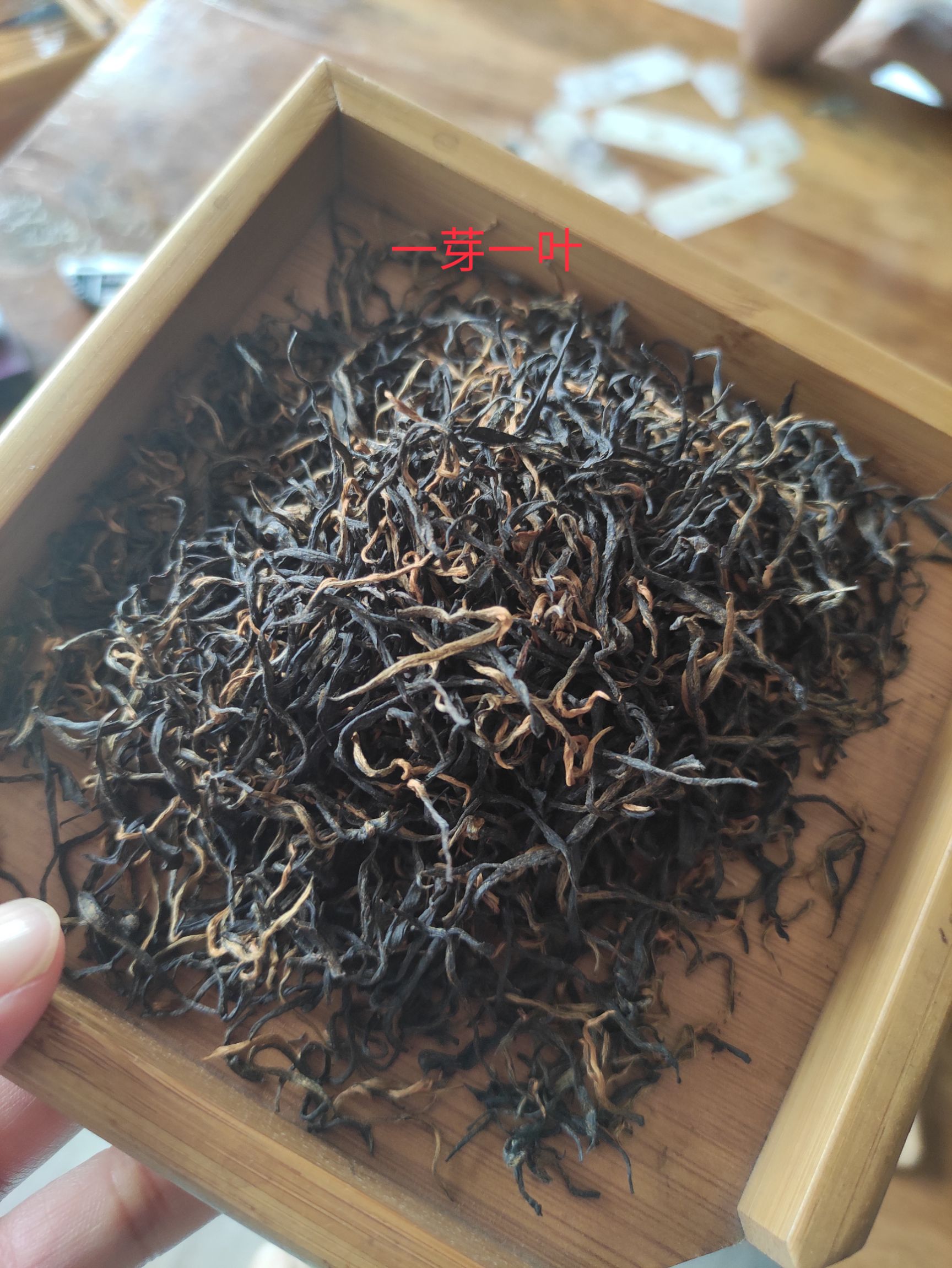 吉首市保靖黄金茶 湘西黄金茶