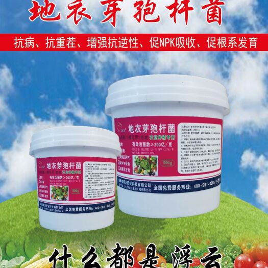 邯郸复合微生物菌剂 枯草芽孢杆菌  农业种植专用1000亿/克地衣芽孢杆菌 高菌数高纯度微生物有