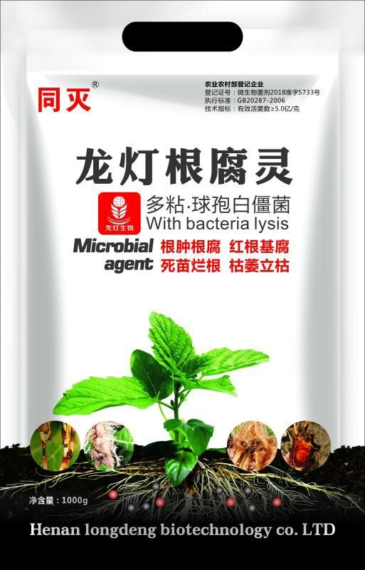 郑州菌肥 根腐灵