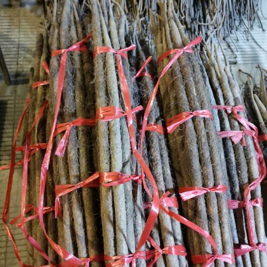 柳州 特级铁棍山药，手捡货，每根1.5斤起步，物美价廉