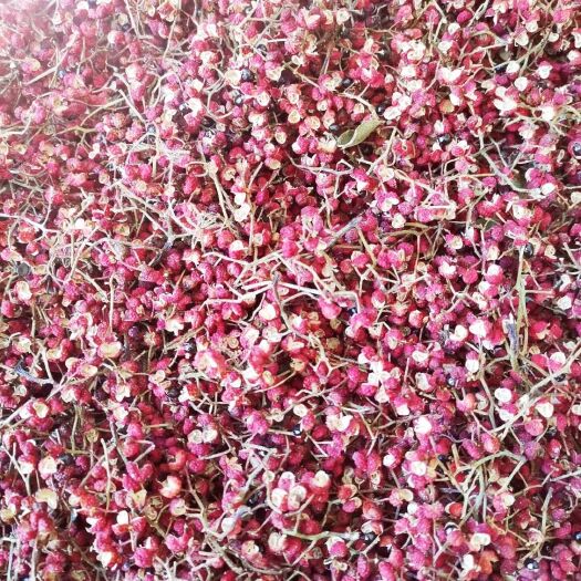 渭南大红袍花椒 一级 干花椒