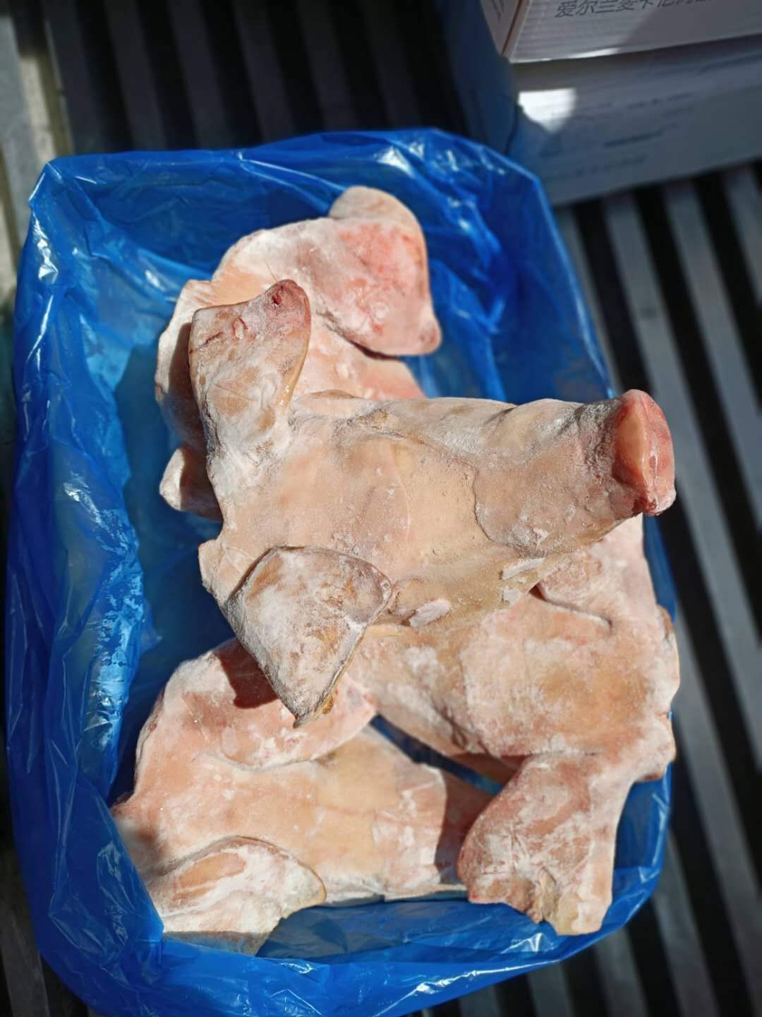 猪头皮 猪头