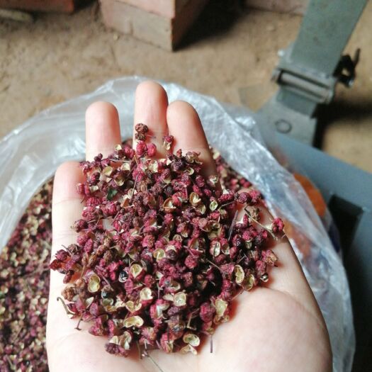 宝鸡青花椒 凤椒质量好