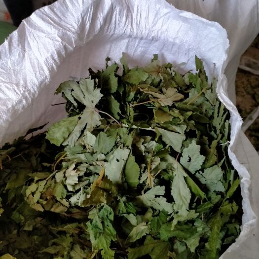 金秀县茶叶袋