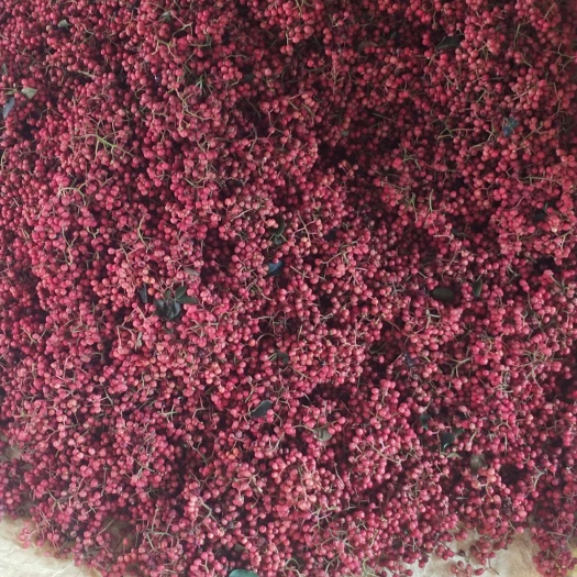 澄城县 一级干花椒无任何掺假