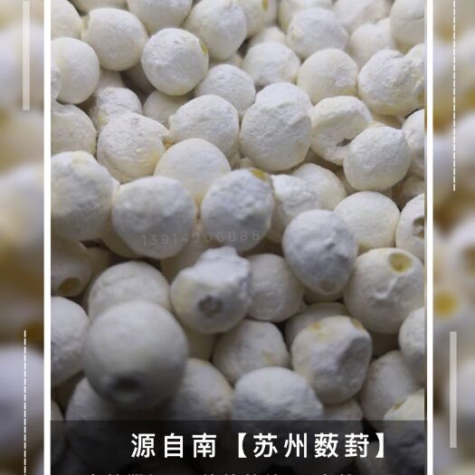 苏州芡实干货鸡头米