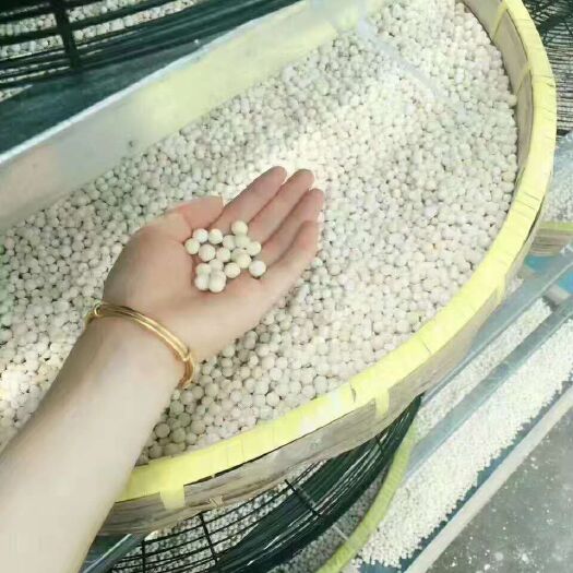 金湖县2020芡实，鸡头米，基地直供（鲜米）（干米）水中人参