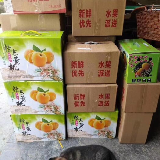 桂东县黄金黄桃 好想你吃我