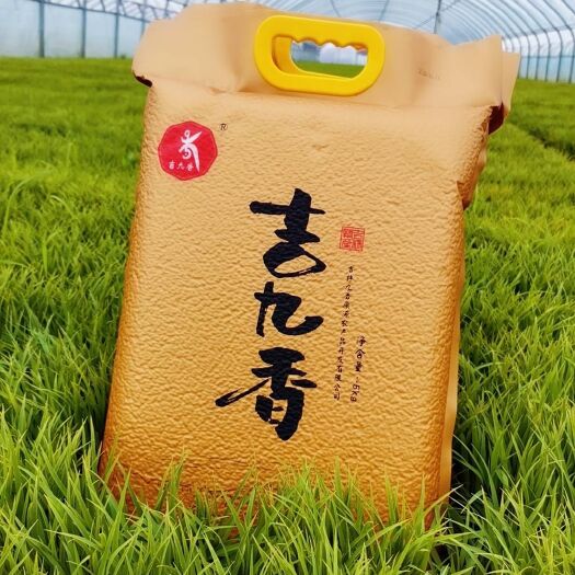 吉林市吉九香 金奖东北稻花香米 真空包装 当季新米 有机肥蟹田米