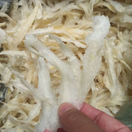 湛江黄花胶小龙胶柳叶胶巴沙胶鱼鳔餐饮佛跳墙鱼胶一手货源