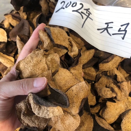 江门 正宗新会陈皮天马东甲梅江茶坑十年内各年份陈皮