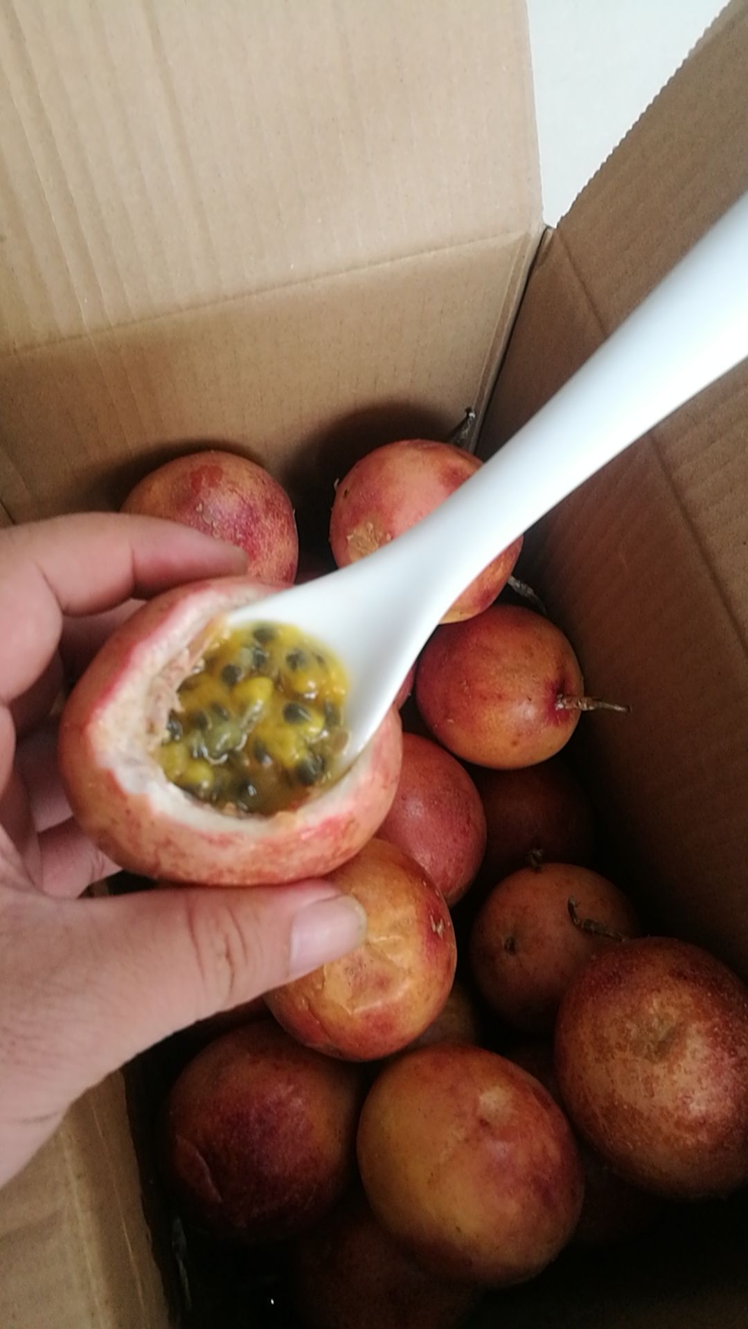 紫香一号百香果 超甜超爆款紫香一号