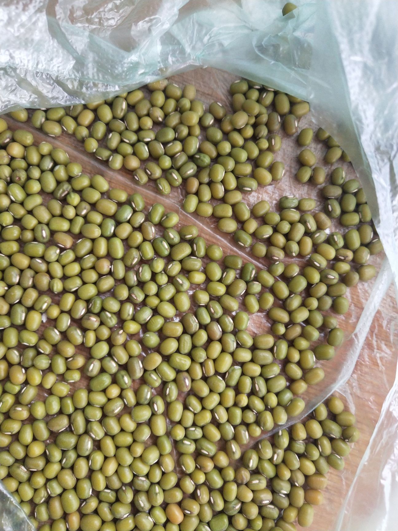 绿芽豆 纯绿色食品，欢迎大家来电，合作共赢的太度°