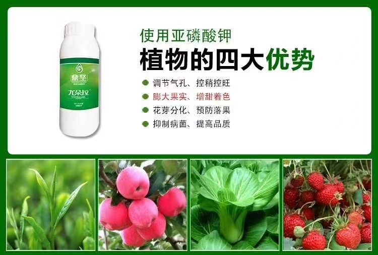 石家庄蔬菜专用肥 1