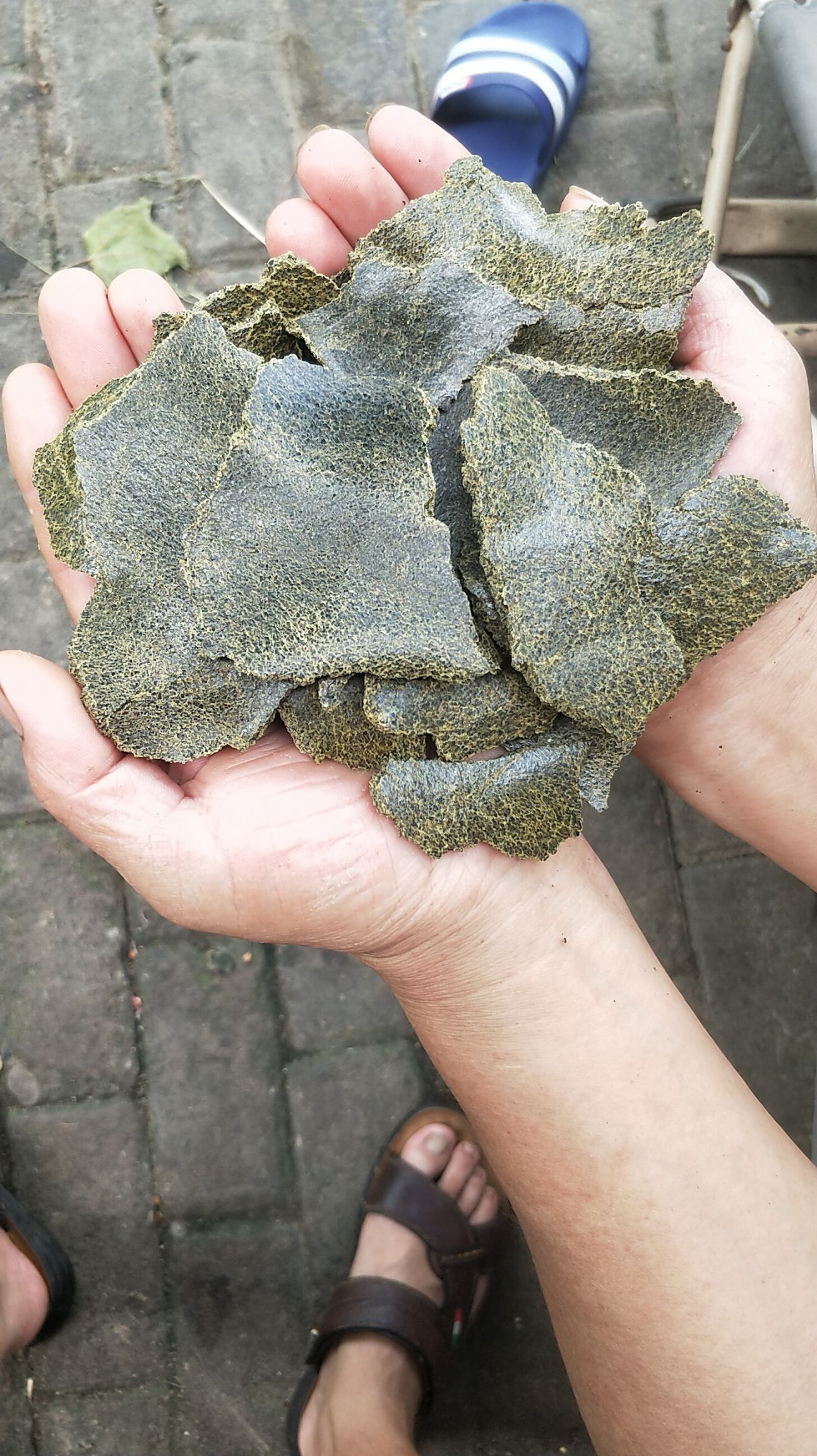 菜籽饼饲料常期出售生榨菜籽饼青饼