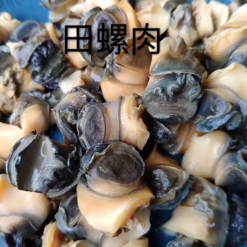 田螺肉石螺肉现挖新鲜干净无沙粒适合于餐馆烧烤必