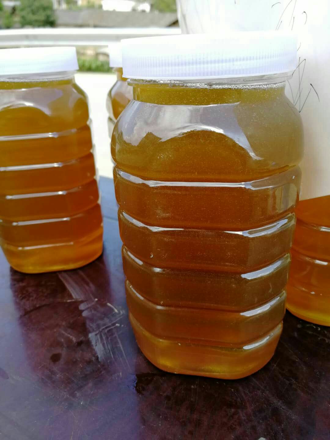 养殖蜂蜜收购季节 几月份收蜂蜜