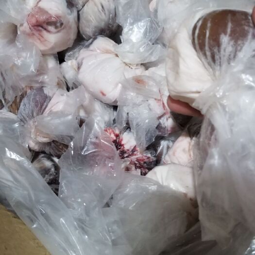 徐州 原油羊腰子，单个包装，个个原油，一斤四个