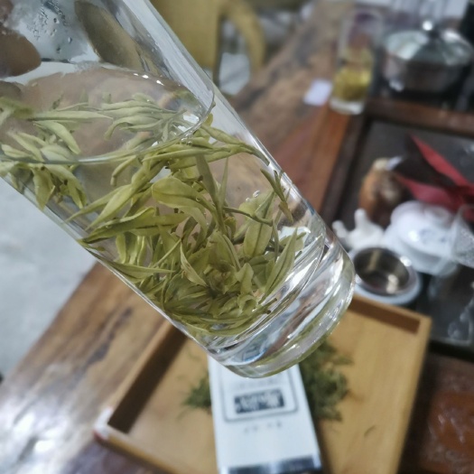  贵州名茶特级黎平白茶高档茶纯有机绿茶