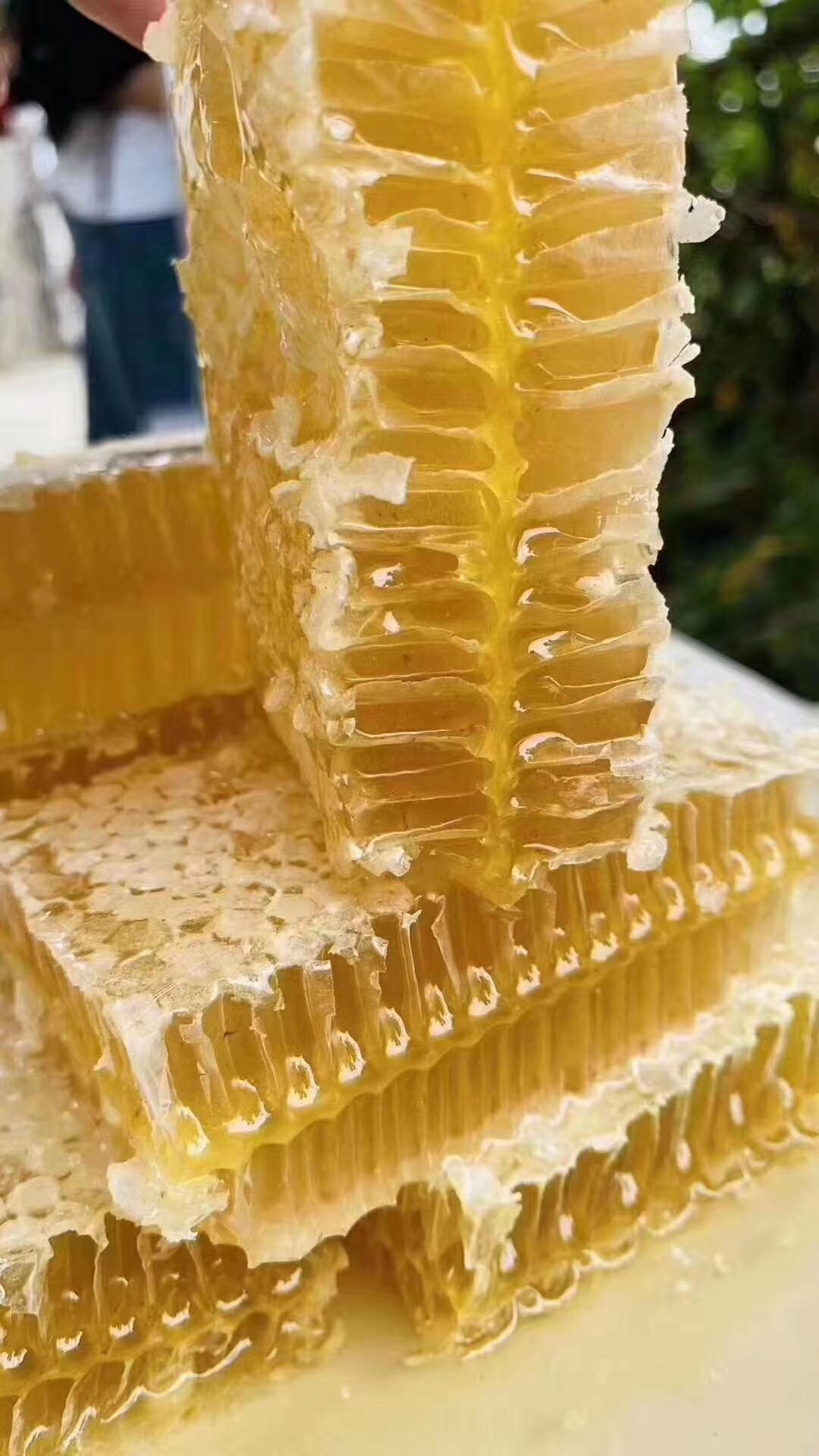  蜂蜜成熟蜂蜜蜂巢蜜精品荆条巢蜜自产自销