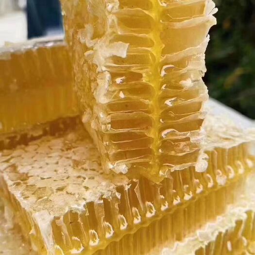  蜂蜜成熟蜂蜜蜂巢蜜精品荆条巢蜜自产自销