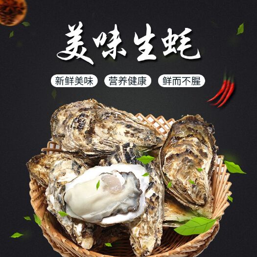 长海县 生蚝鲜活新鲜带壳大连特大刺身牡蛎海鲜海蛎子核酸检测安全