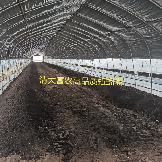 新乡县有机肥  清大富农蚯蚓生态养殖