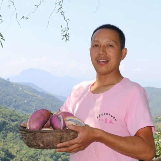 旬阳市粉红六号八月瓜 野生 粉红