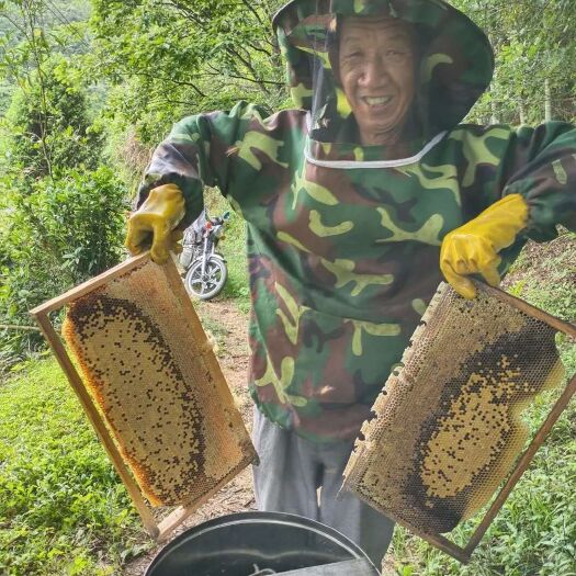宁都县土蜂蜜 自家养土峰蜜