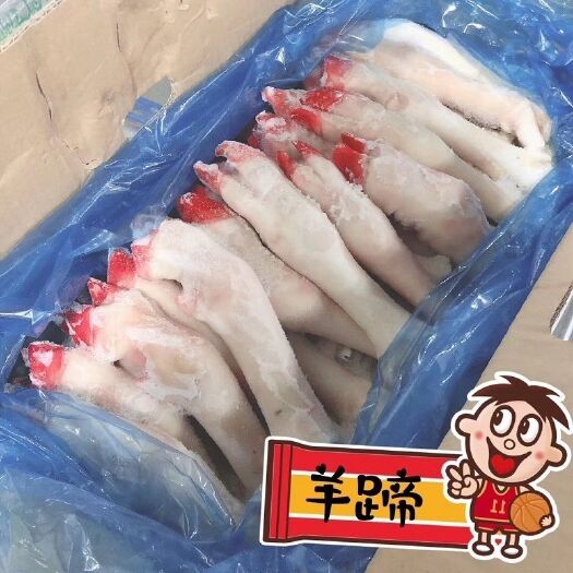生鮮冷凍羊蹄整羊蹄一箱包冰20斤廠家直銷燒烤店食材所有地區(qū)包