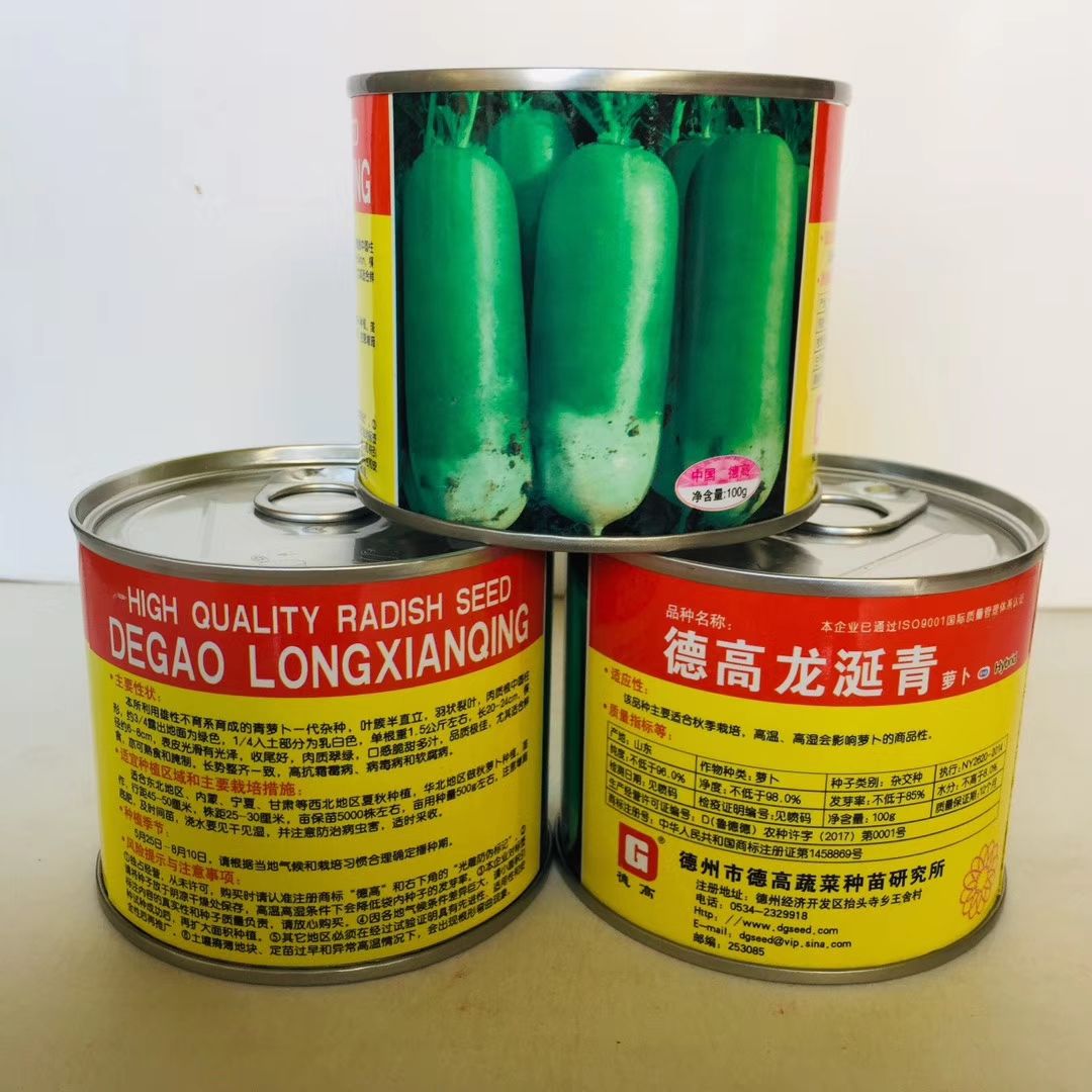 德高龙涎青萝卜种子抗病青萝卜肉质翠绿口感脆甜多汁水果萝卜种子