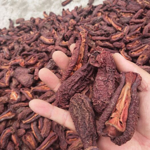 长阳县药用皱皮木瓜  药材皱皮木瓜 资丘无籽木瓜 榔坪木瓜