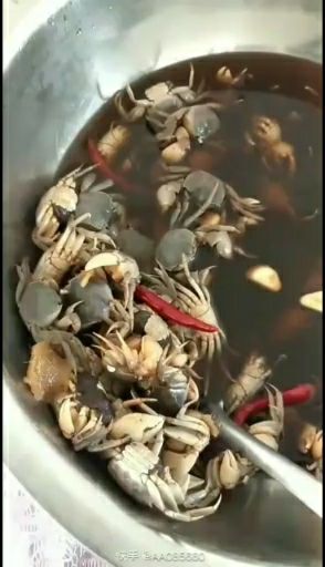 哈尔滨 河蚌保鲜保活