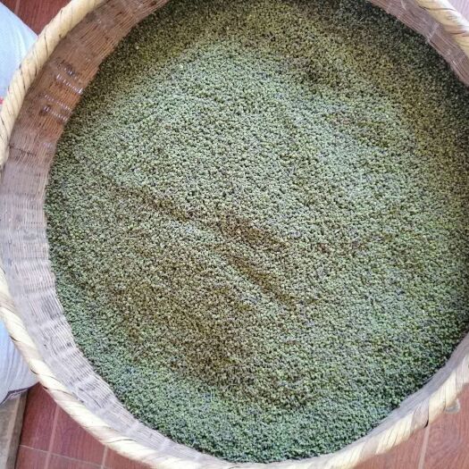 阳新县 自产的中花吴茱萸货真价实