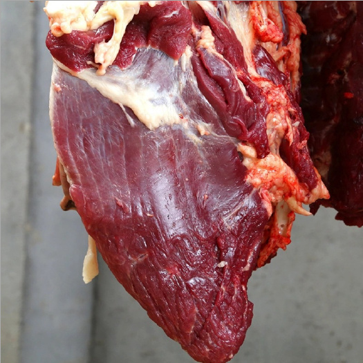石家庄驴肉冷冻正宗生鲜驴肉新鲜散养真空500g包邮河北特产带皮驴肉