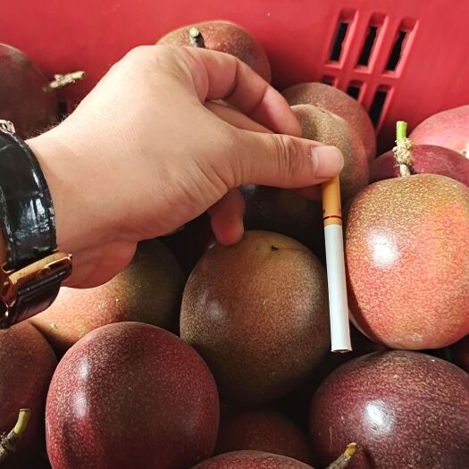 陇川县 云南高山百香果，台农一级果，二级果，三级果