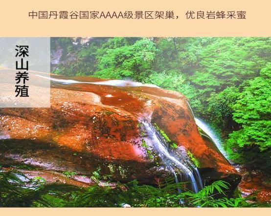 习水县土蜂蜜 2年以上 42 本品不能代替药物