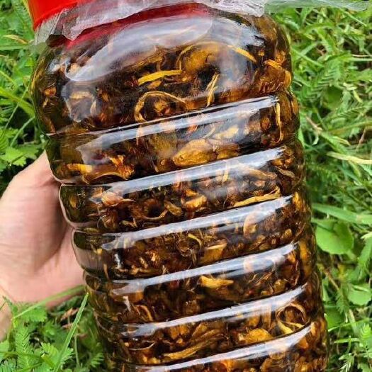 景洪市 生态鸡枞油