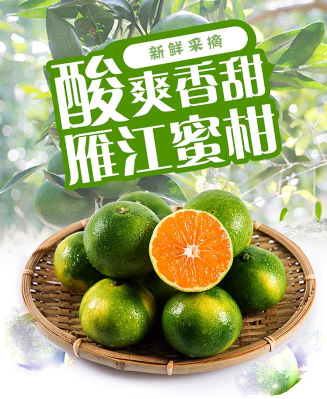 蜜桔