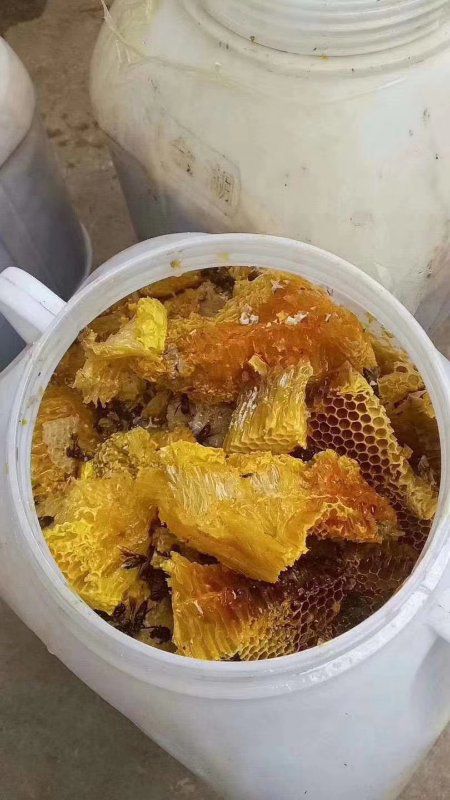  缅甸蜂蜜